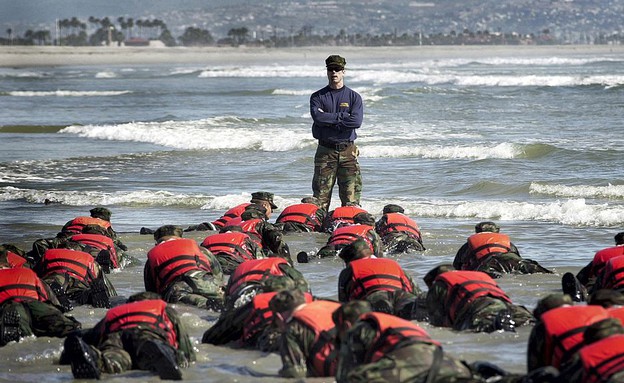 אריות הים (צילום: Handout, GettyImages IL)