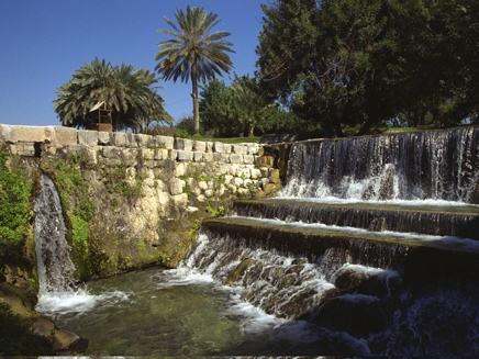 הסחנה, ארכיון (צילום: מארק ניימן, לע