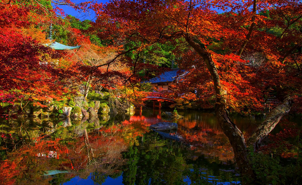 סתיו בקיוטו, יפן (צילום: Blanscape, Shutterstock)