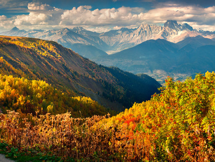 סתיו בהר אושבה, גיאורגיה (צילום: Andrew Mayovskyy, Shutterstock)