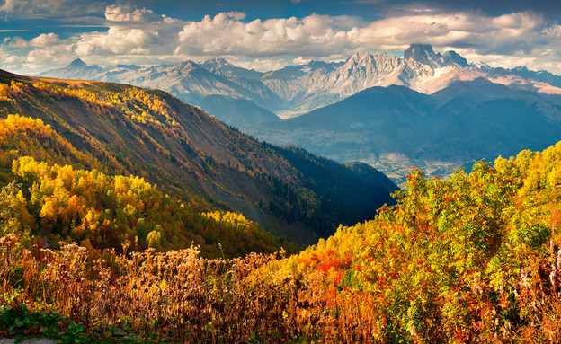 סתיו בהר אושבה, גיאורגיה (צילום: Andrew Mayovskyy, Shutterstock)