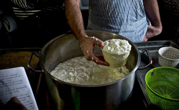 חלב מתגבש לגבינה (צילום: ג'ק מרטין, mako אוכל)