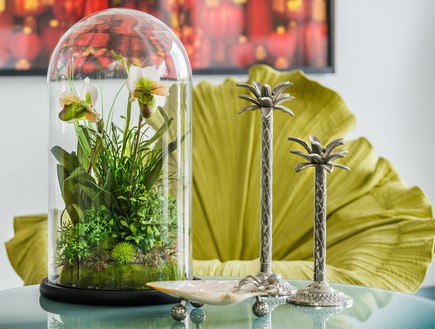 שקוף, סידור פרחים בכיפת זכוכית, 1500 שקל להשיג בגלריית סמבטיון (צילום: חיים אפריאט)