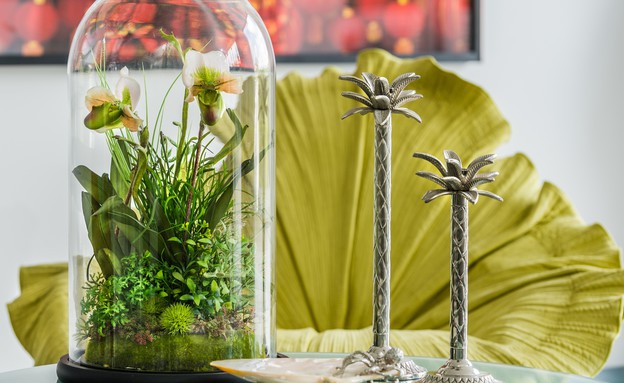 שקוף, סידור פרחים בכיפת זכוכית, 1500 שקל להשיג בגלריית סמבטיון (צילום: חיים אפריאט)