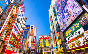 טוקיו (צילום: Luciano Mortula, Shutterstock)