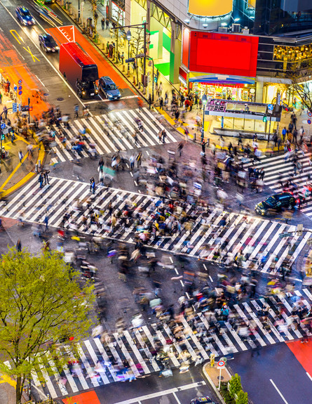 אתם רק 11 שעות מכאן