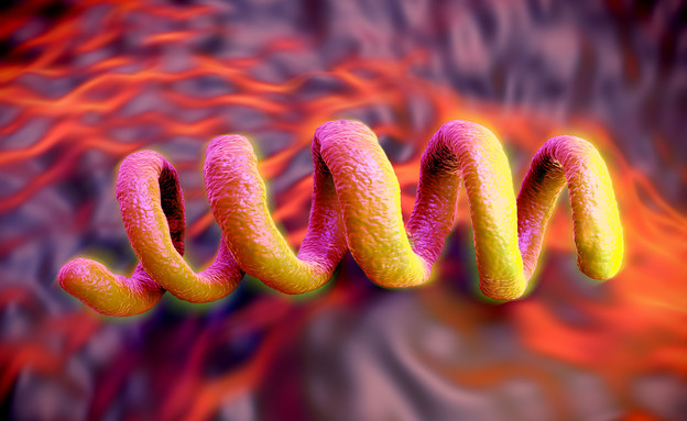 The pale twisting thread syphilis (Photo: Shutterstock)