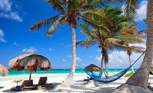 חוף טולום במקסיקו (צילום: BlueOrange Studio, Shutterstock)