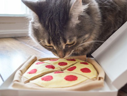 פיצה, צעצוע לחתול, החל מ-25 שקל, להשיג ב-etsy (צילום: etsy)