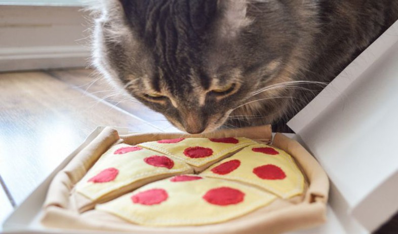 פיצה, צעצוע לחתול, החל מ-25 שקל, להשיג ב-etsy (צילום: etsy)
