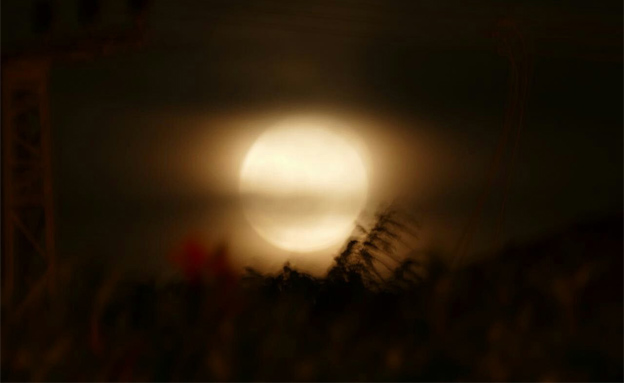 סופר מון, ירח, לילה (צילום: רפאל חיון)