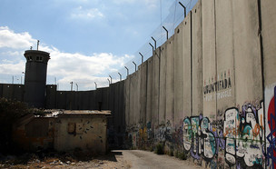 גדרות מסביב לעולם (צילום: Ian Walton, GettyImages IL)