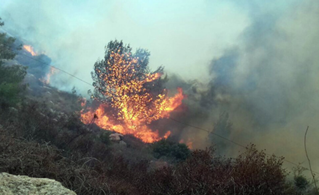 שריפה בטלמון (צילום: דוברות כב"ה בית שמש)