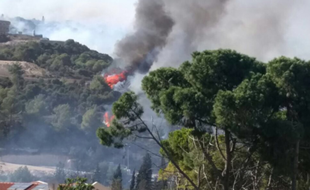 יותר מ-220 שריפות בשלוש יממות (צילום: טלי ריבקין)