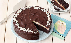 עוגת שוקולד קוקוס (צילום: ענבל לביא, אוכל טוב)