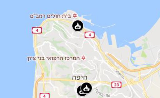 השריפות בישראל (צילום: צילומסך)