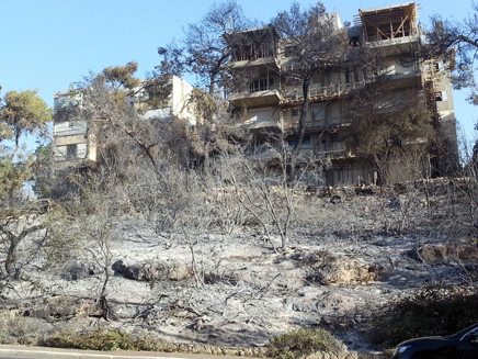 נזקי השריפה בחיפה (צילום: גיא תורג'מן)
