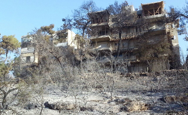 נזקי השריפה בחיפה (צילום: גיא תורג'מן)
