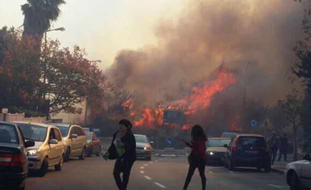"העבירו את הפיצויים". שריפה בחיפה (צילום: טלי ריבקין)