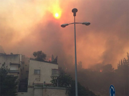 ממתינים להחלטת המדינה. שריפה בחיפה (צילום: חדשות 2)