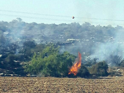 השריפה ביער חרובית, היום (צילום: דוברות המשטרה)