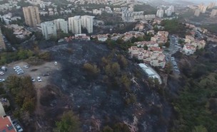 השריפה בחיפה – תמונת מצב (צילום: ZAZKNI, ZAZKNI יוטיוב)