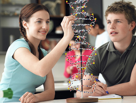 תלמידים בבית ספר לומדים מדעים (צילום: Shutterstock)