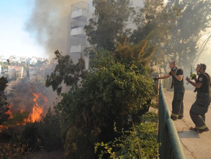 השריפה בחיפה (צילום: רמי שלוש, TheMarker)