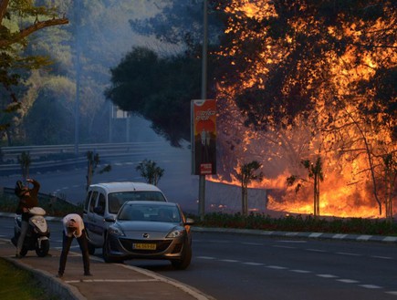 השריפה בחיפה (צילום: גיל אליהו, TheMarker)