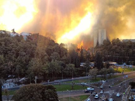 שריפה בחיפה (צילום: רן פאר)