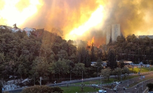 שריפה בחיפה (צילום: רן פאר)
