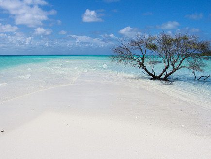 האיים המלדיביים (צילום: Anna A Tarasenko, Shutterstock)