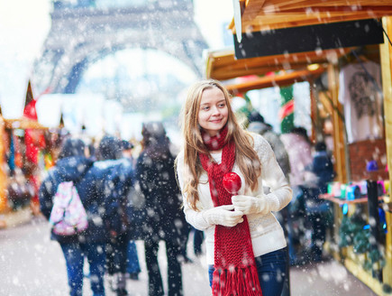 פריז בחורף (צילום: Ekaterina Pokrovsky, Shutterstock)