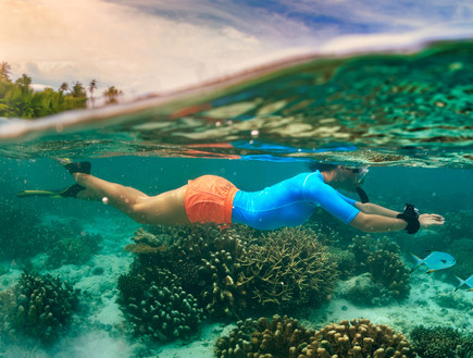 צלילה באיים המלדיביים (צילום: Willyam Bradberry, Shutterstock)