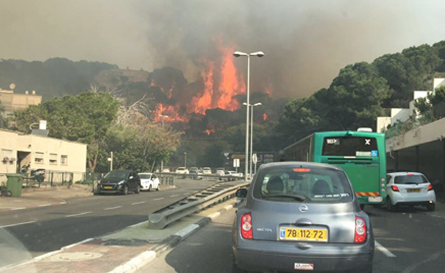 השריפה בחיפה (צילום: שרון באום)