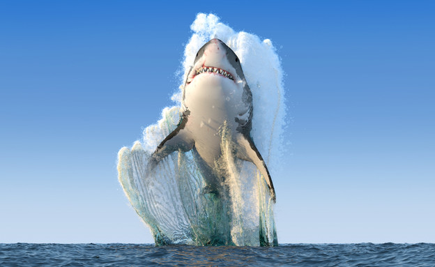 התמונה המזויפת של כריש קופץ (עיצוב: ShutterStock)