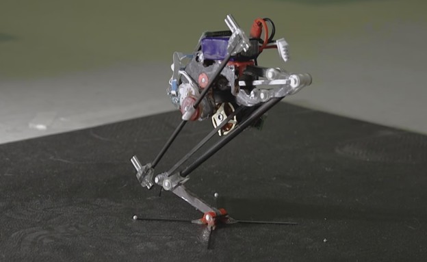 Salto, הרובוט שקופץ לגובה (צילום: UC Berkeley)