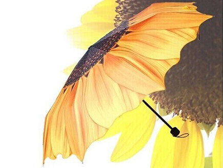 מטריית חמנייה (צילום: fancy.com)