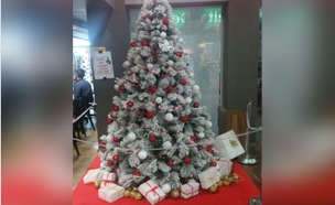 עץ חג המולד בבית הסטודנט (צילום: נועם יוסף)