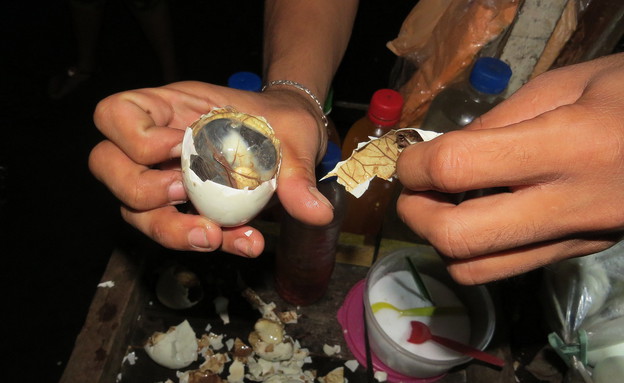 ביצת אפרוח (צילום: משה פויסטרו)