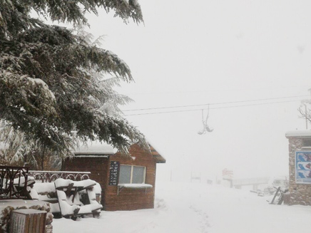 שלג בחרמון (צילום: חדשות 2)