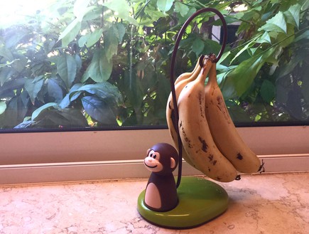 גאדג'טים להמונים - עץ בננות (צילום: בושי מרדור,  יחסי ציבור )