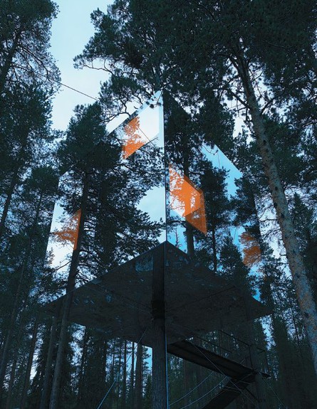 טד, מלון שקוף על עץ בשבדיה (צילום: THAM and VIDEGÅRD ARKITEKTER)