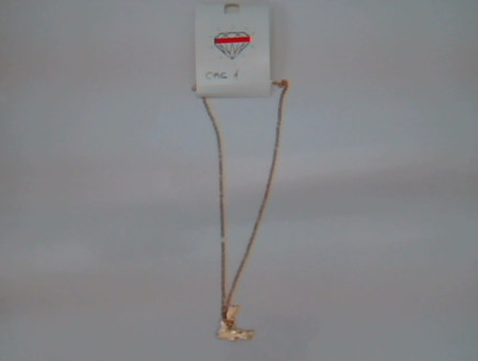 תליון של רשת קסטרו