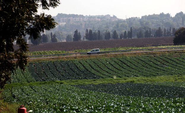 שדה ליד מושב נהלל (צילום: יוסי זמיר, פלאש 90)