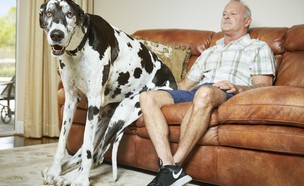 גינס 2017 (צילום: קרדיט: מתוך ספר השיאים של גינס בהוצאת כרטא)