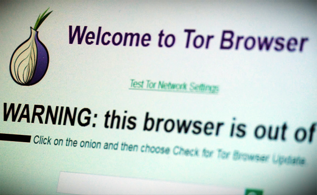 TOR התוכנה הנפוצה בדארקנט (צילום: חדשות 2)