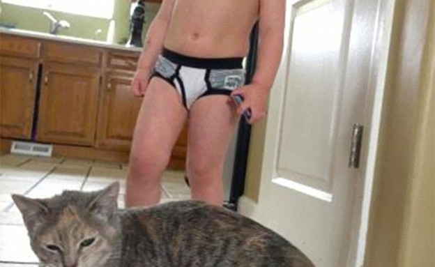 חיות כושלות