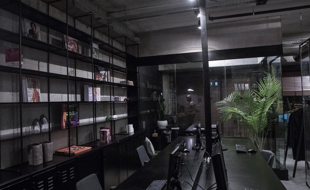 משרדים01, גוונים כהים ועמוקים (צילום: סשה ל-DVISION STUDIO)