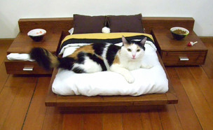 חדר שינה בורגני לחתולים